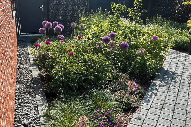 Claus_Gartenpflege_4