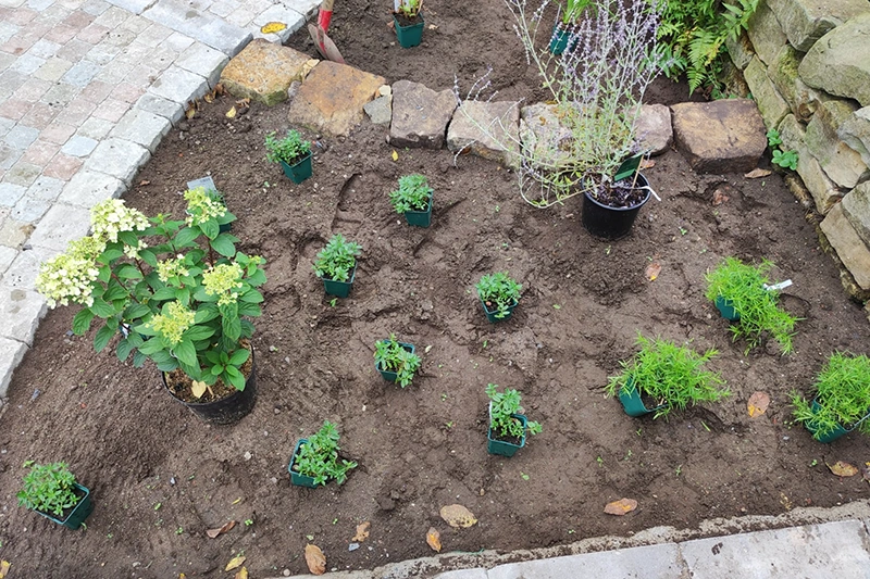 Claus_Gartenplanung_11