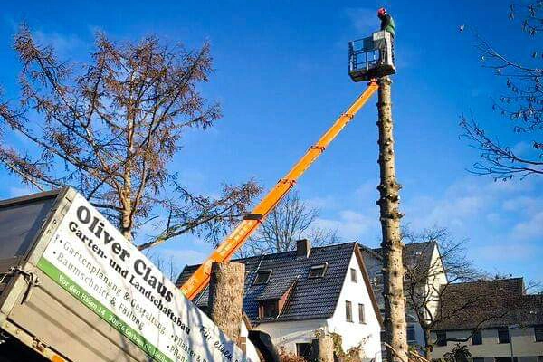 Claus_Baumpflege_11_neu